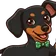 Bachi the dog, our mascot