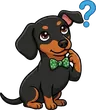 Bachi the dog, thinking